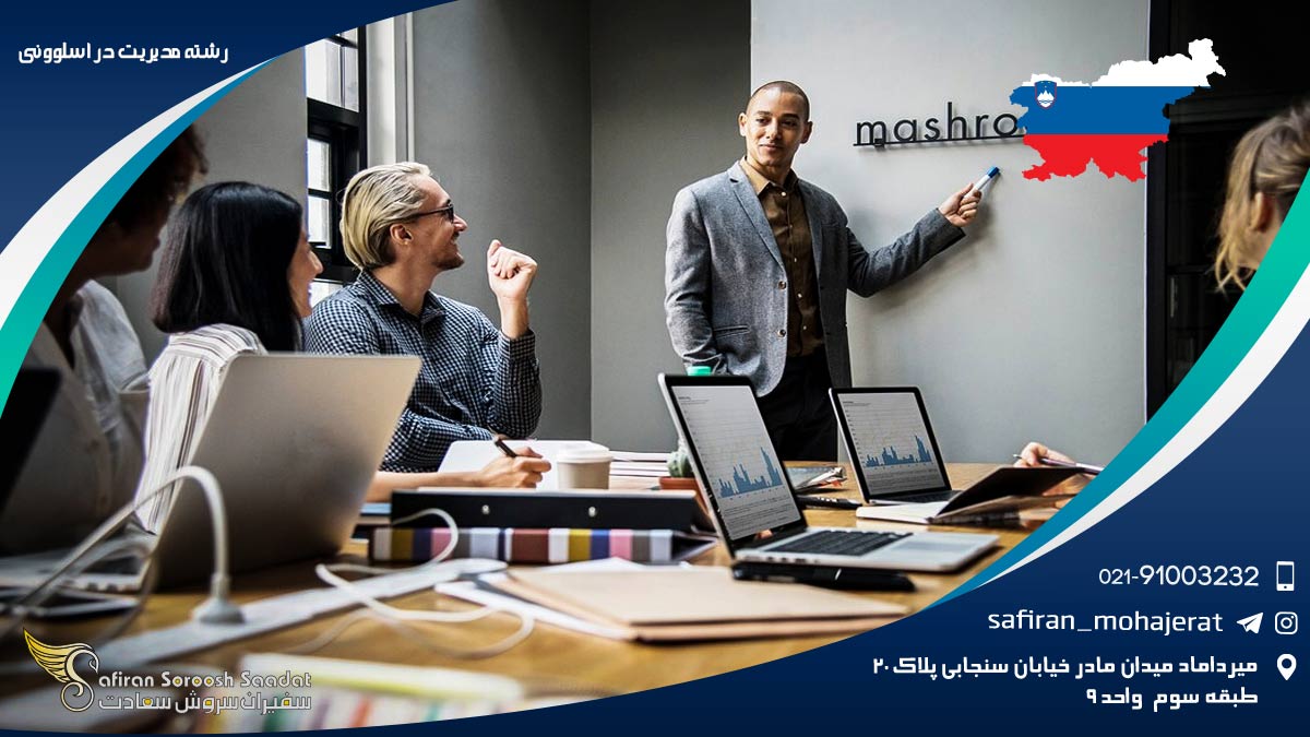 رشته مدیریت در اسلوونی