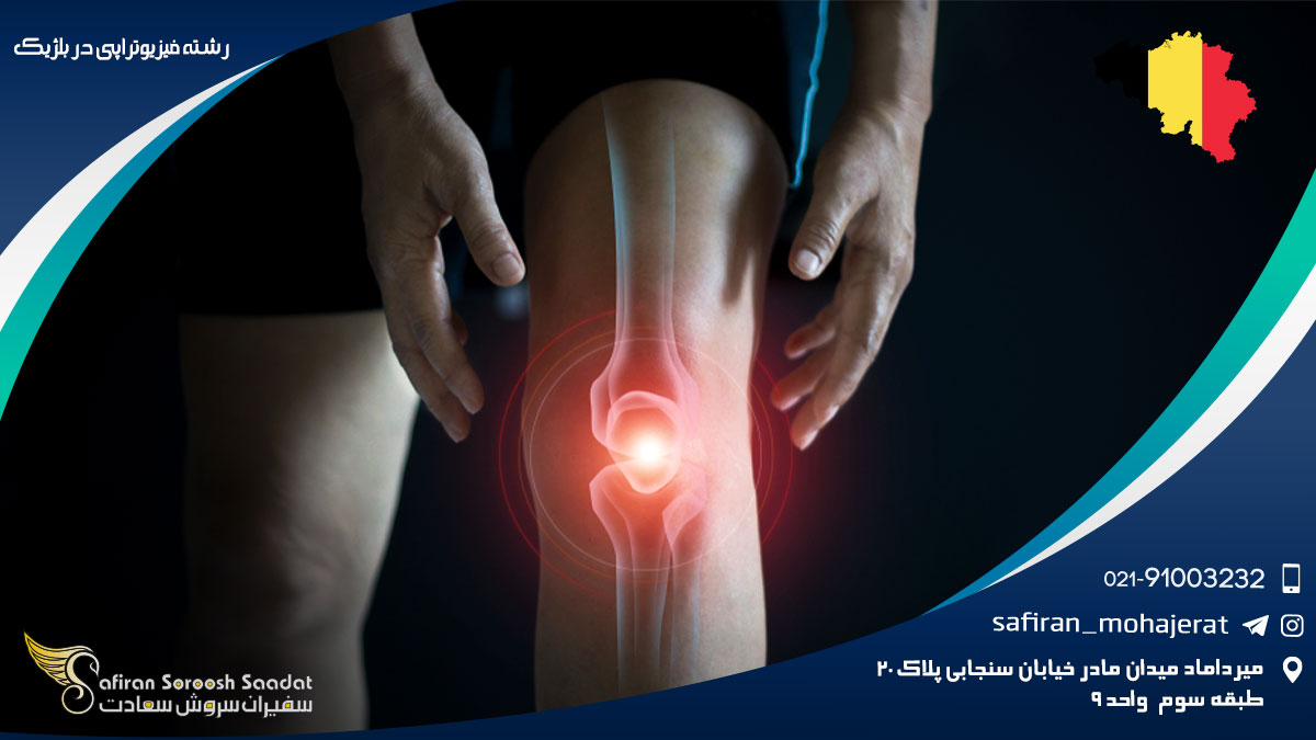 رشته فیزیوتراپی در بلژیک