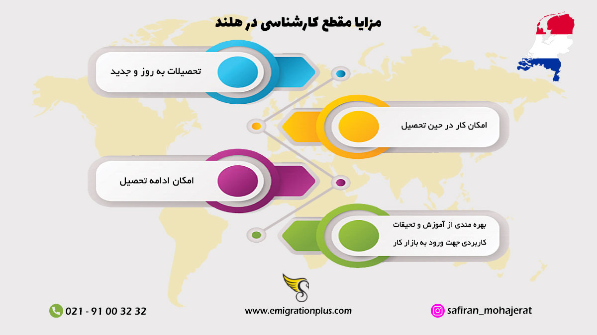 اینفوگرافیک مقطع کارشناسی در هلند
