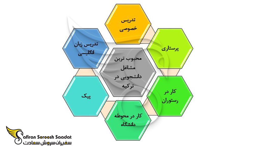 محبوب ترین مساغل دانشجویی در ترکیه