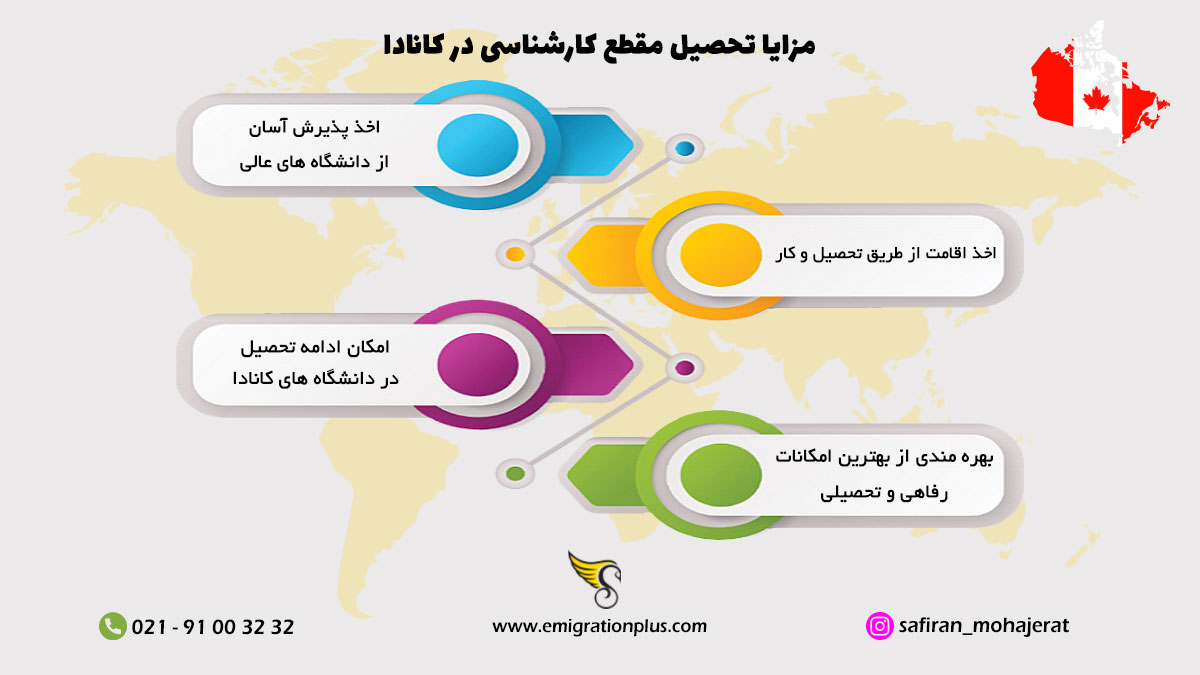 اینفوگرافیک مقطع کارشناسی در کانادا