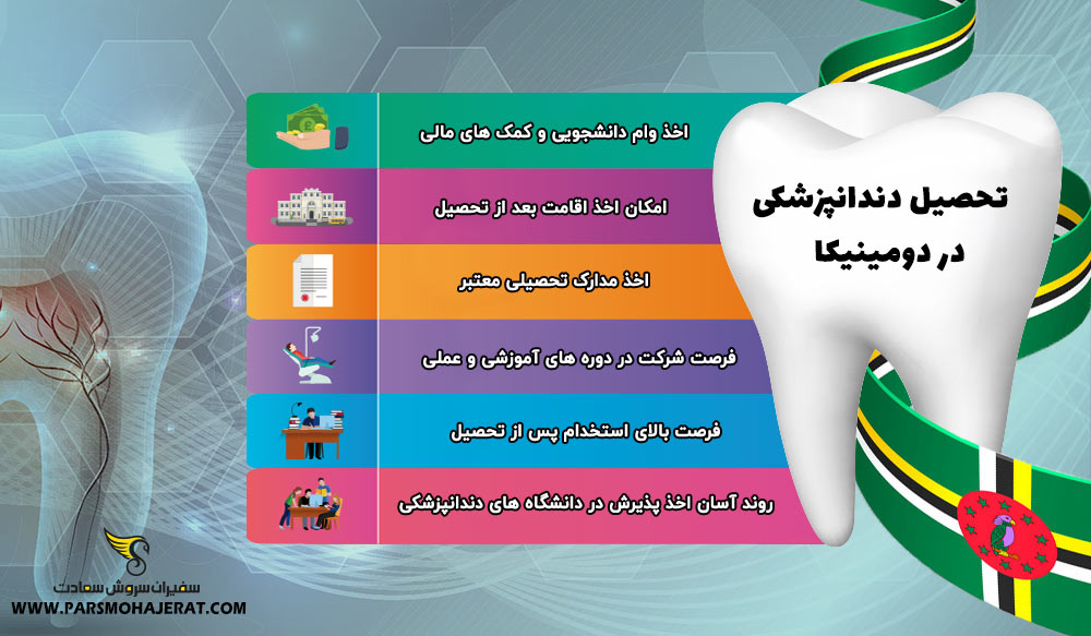 اینفوگرافیک تحصیل دندانپزشکی در دومینیکا