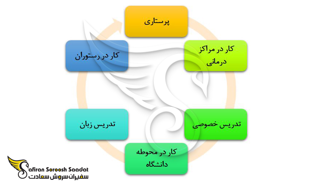 برخی از محبوب ترین مشاغل پاره وقت برای دانشجویان مقطع دکتری
