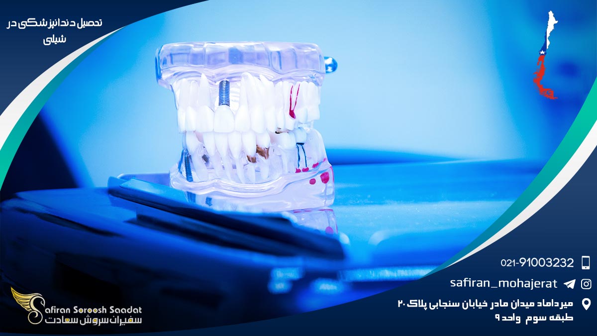 تحصیل دندانپزشکی در شیلی