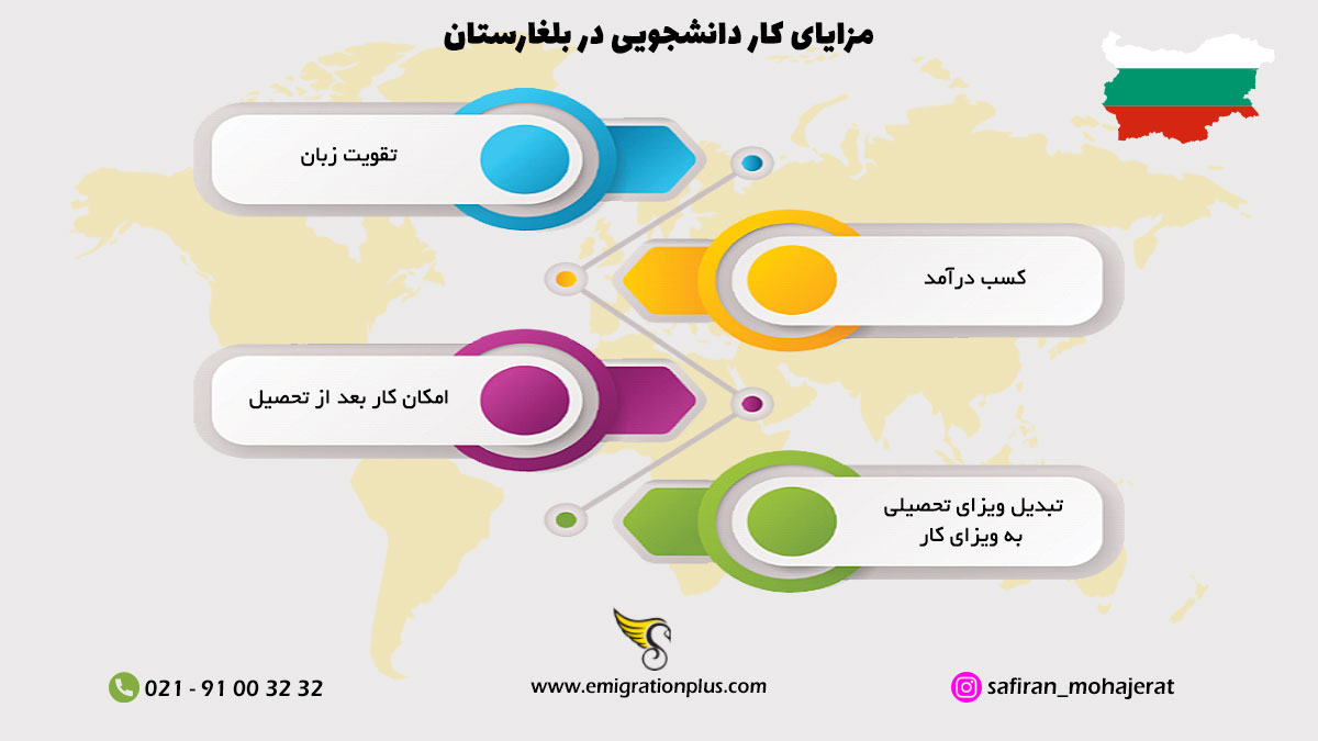 اینفوگرافیک کار دانشجویی در بلغارستان
