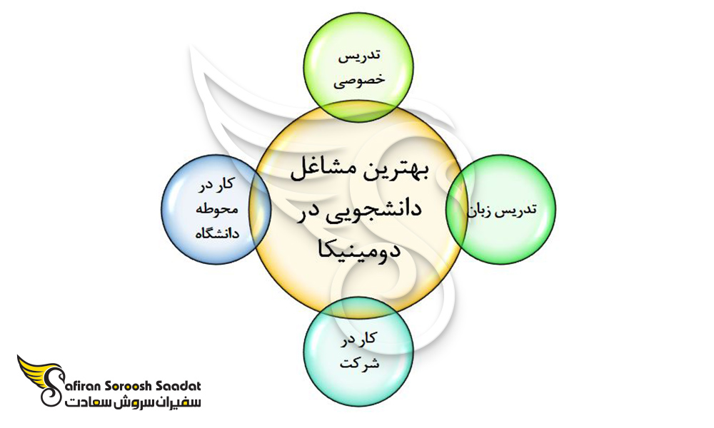 برخی از بهترین مشاغل دانشجویی در دومینیکا را برای کار دانشجویی