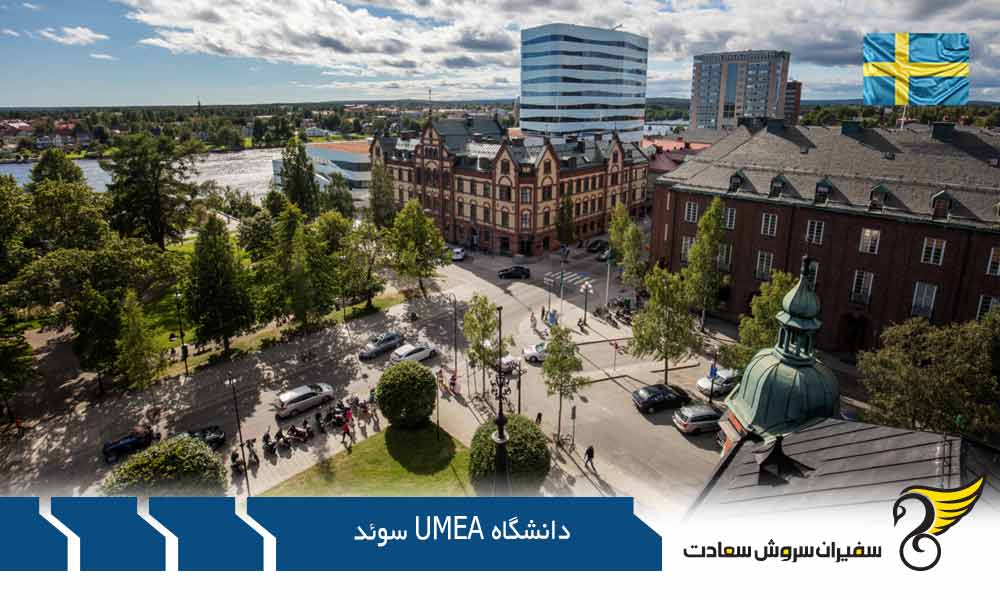 برترین رشته های کارشناسی در دانشگاه اومئو سوئد