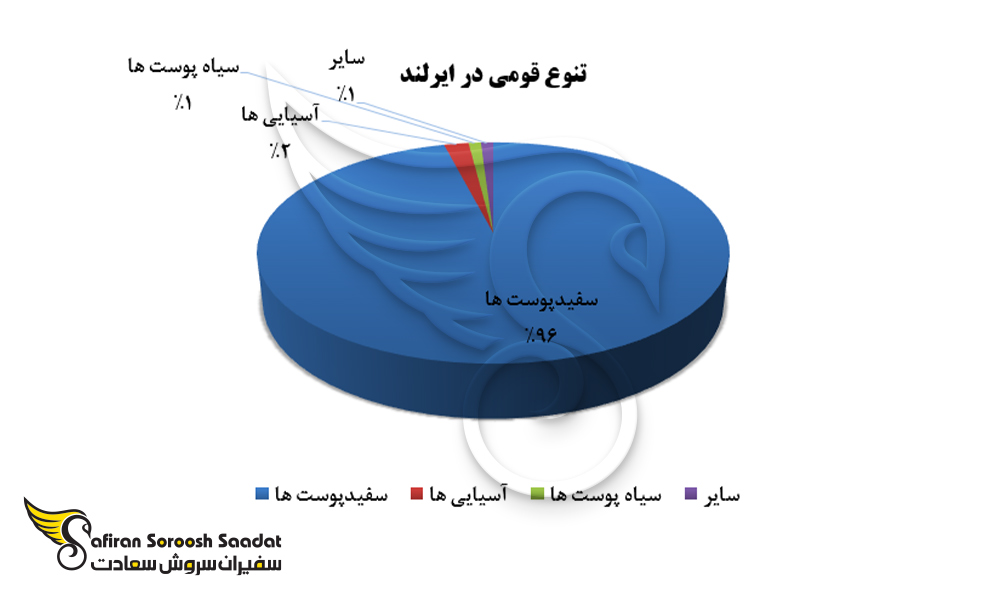 تنوع قومی در ایرلند
