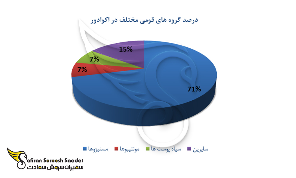 درصد گروه های قومی مختلف در اکوادور