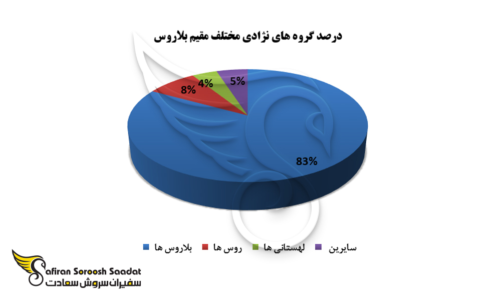 درصد گروه های نژادی مختلف مقیم بلاروس