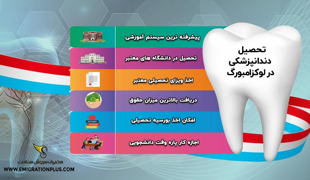 اینفوگرافیک تحصیل دندانپزشکی در لوکزامبورگ