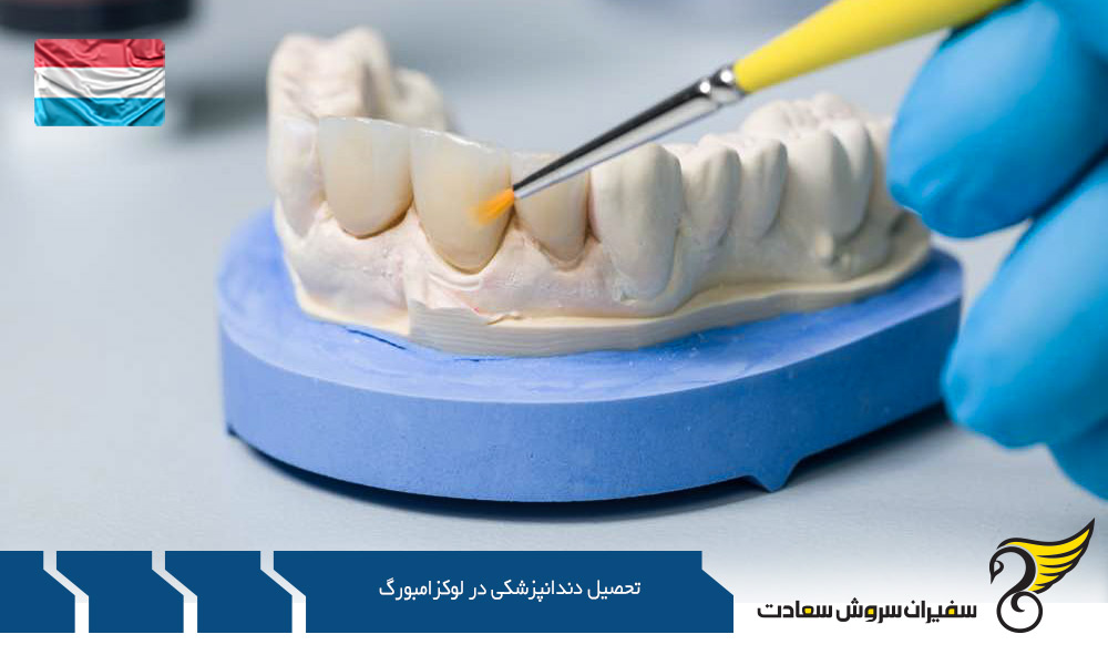 ویزای تحصیلی و تحصیل دندانپزشکی در لوکزامبورگ