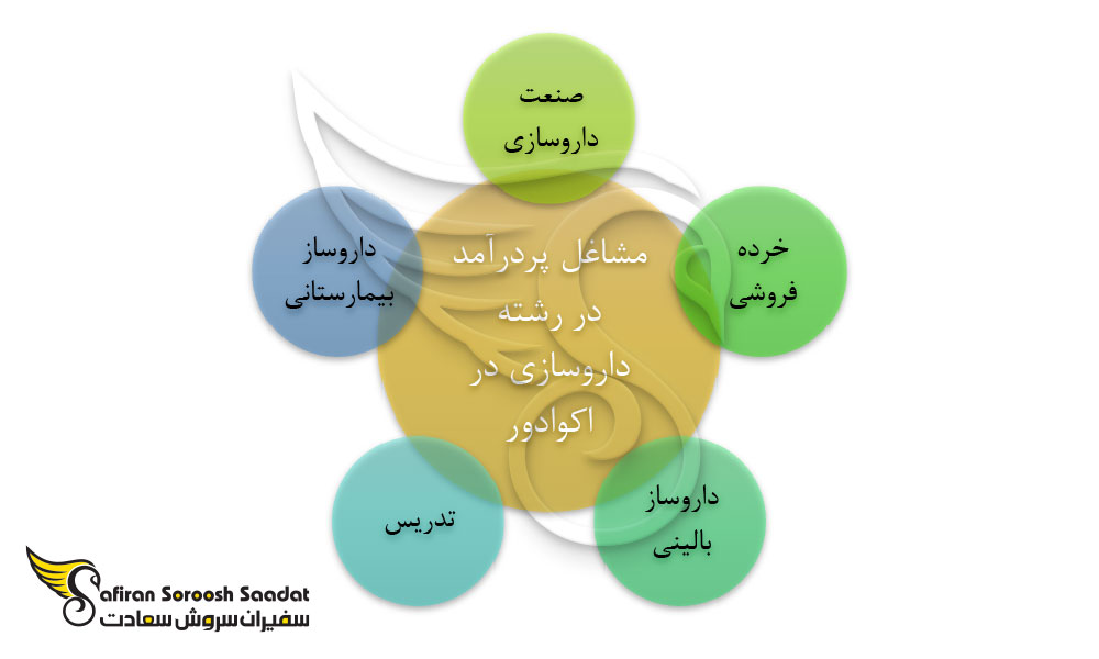 مشاغل پردرآمد در رشته داروسازی در اکوادور