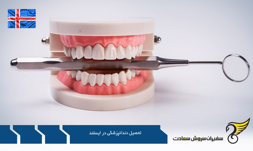 هزینه تحصیل دندانپزشکی در ایسلند