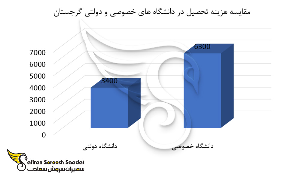 مقایسه هزینه تحصیل در دانشگاه های دولتی و خصوصی گرجستان