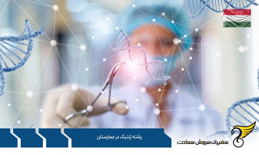 مدارک لازم برای درخواست تحصیل رشته ژنتیک در مجارستان