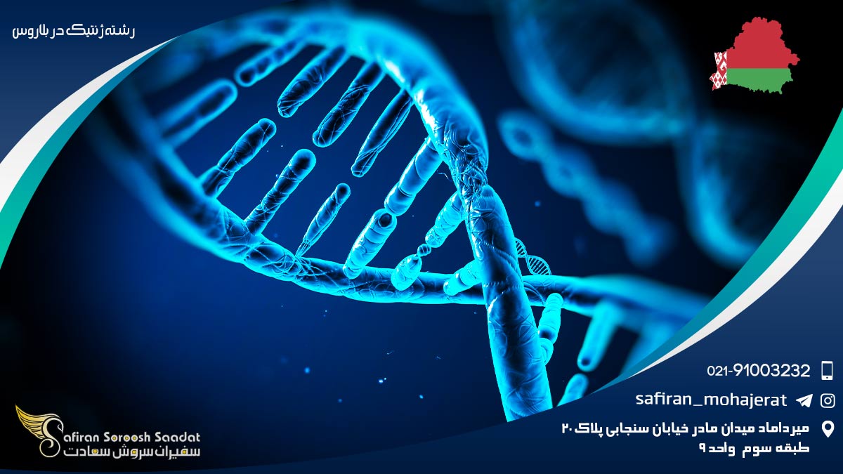 رشته ژنتیک در بلاروس