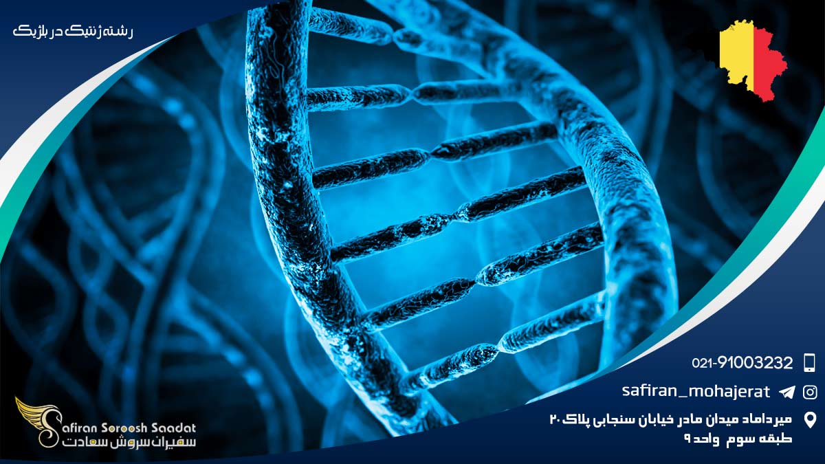 رشته ژنتیک در بلژیک