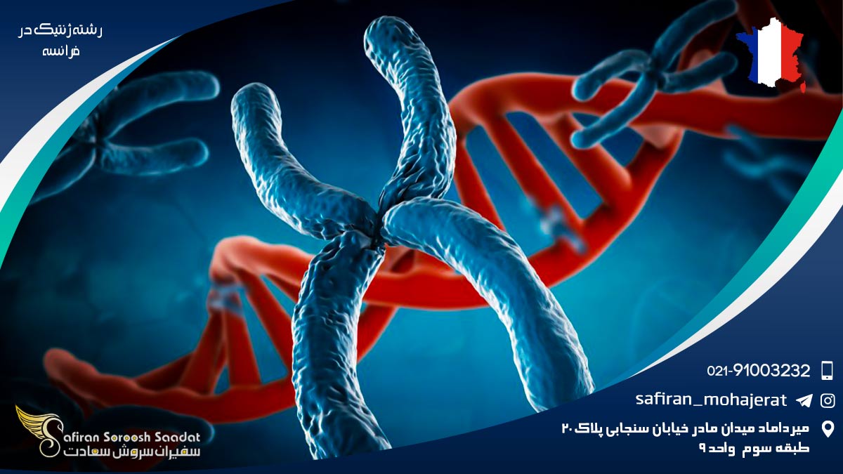 رشته ژنتیک در فرانسه