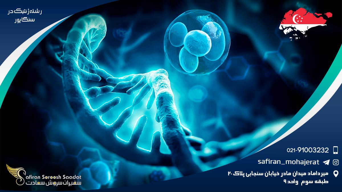 رشته ژنتیک در سنگاپور