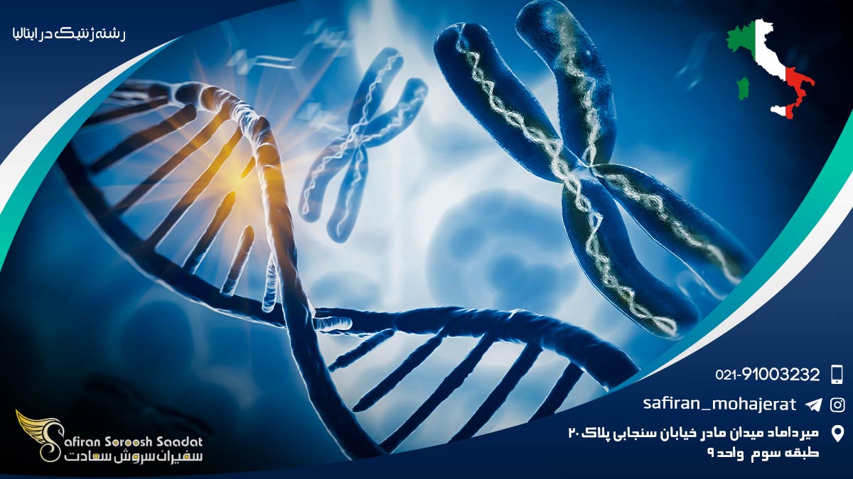 رشته ژنتیک در ایتالیا