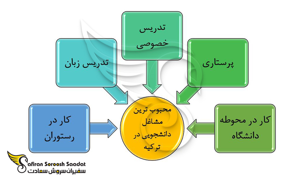 محبوب ترین مشاغل دانشجویی در ترکیه