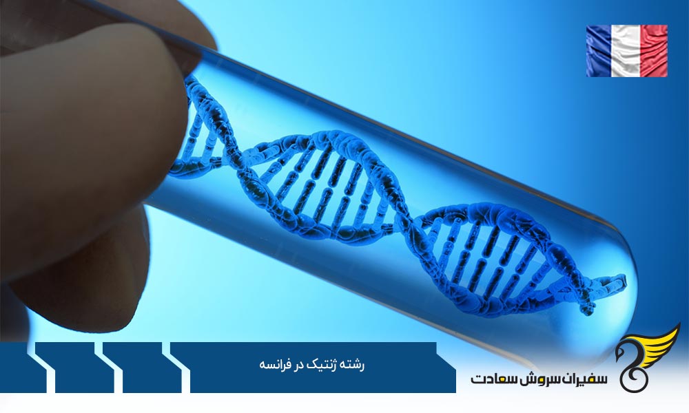 دانشگاه های برتر ارائه دهنده رشته ژنتیک در فرانسه