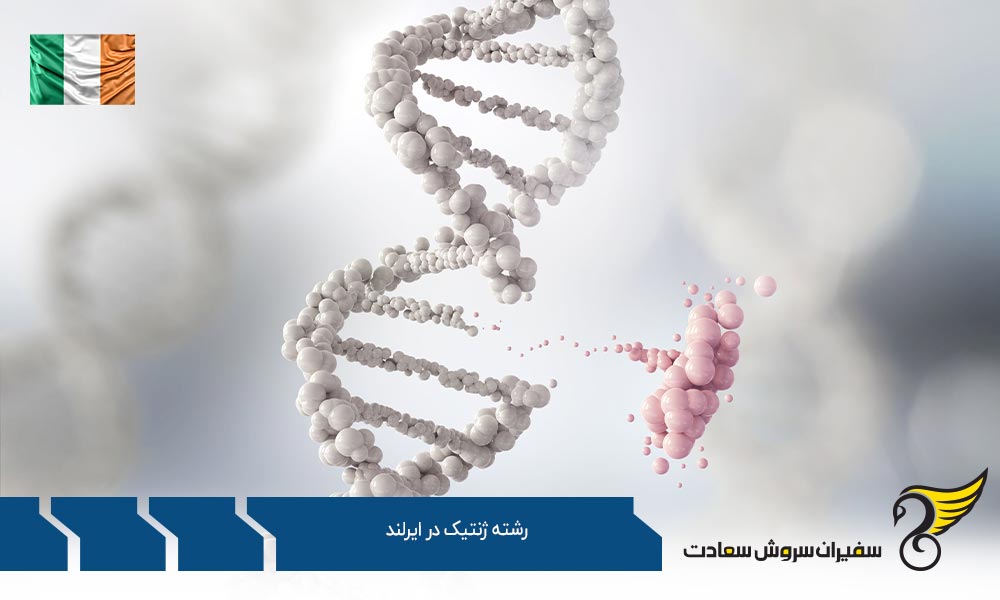 دانشگاه های برتر ارائه دهنده رشته ژنتیک در ایرلند