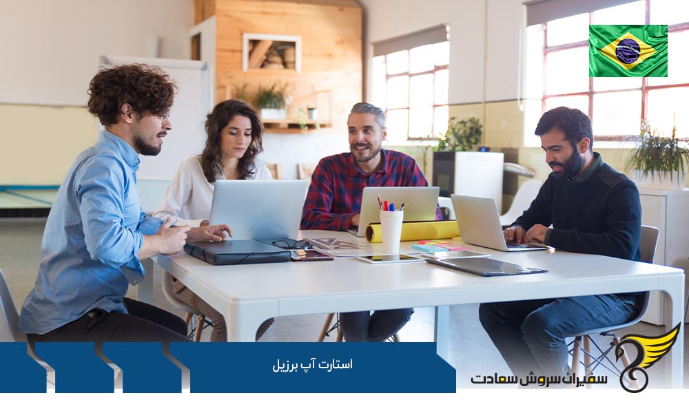 انواع شرکت ها جهت شروع استارتاپ برزیل