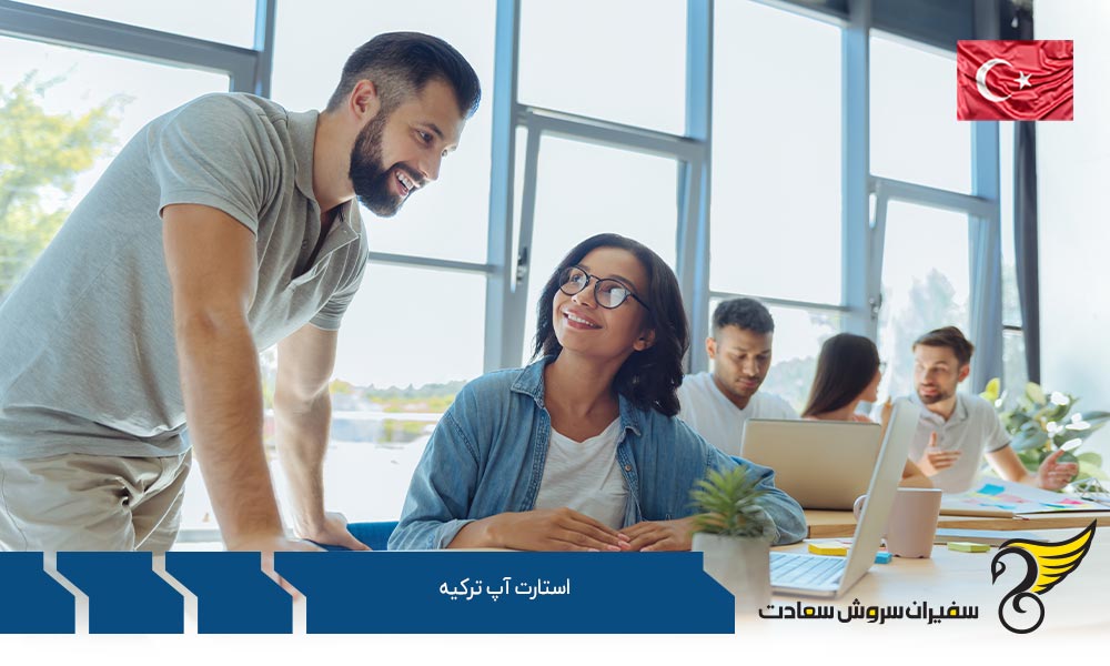 انواع ساختار شرکتهای استارتاپ در ترکیه