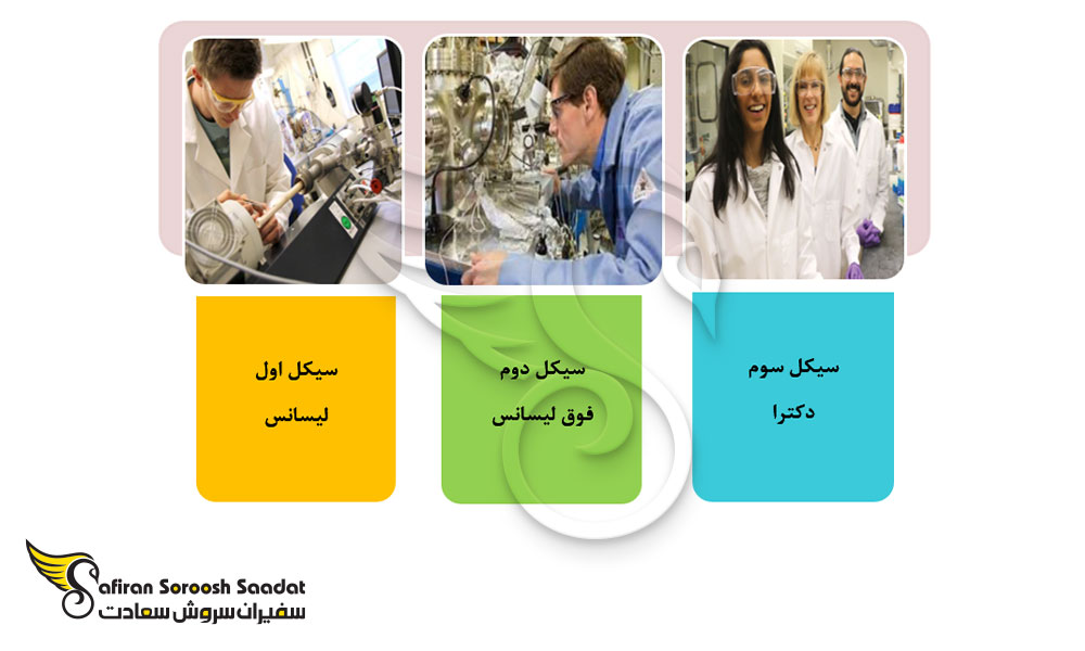 تحصیلات عالی در لهستان
