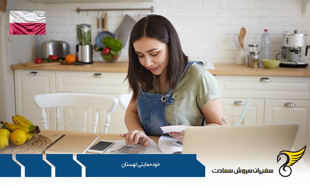 برنامه سرمایه گذاری بجای خودحمایتی لهستان