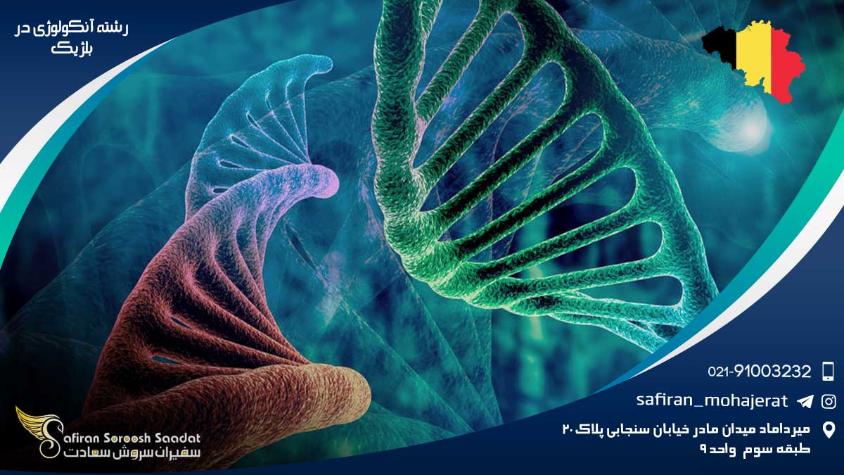 رشته آنکولوژی در بلژیک