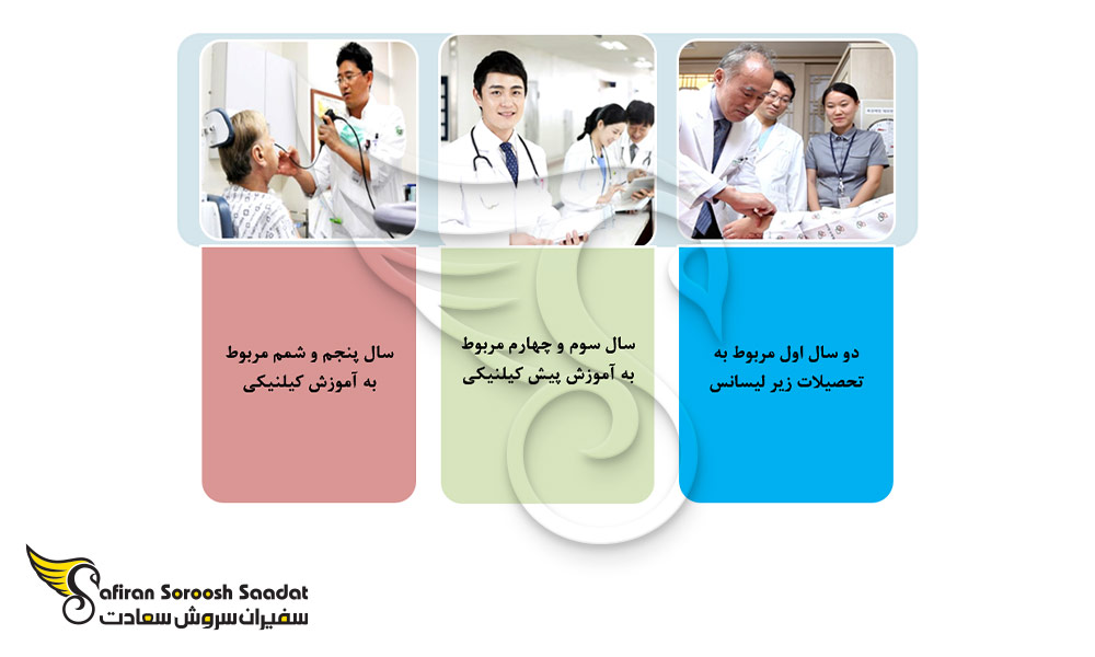 ساختار دوره آنکولوژی در کره جنوبی