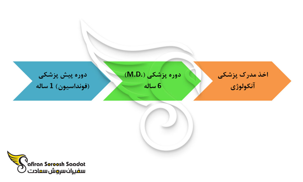 کل ساختار تحصیل رشته های پزشکی در مجارستان
