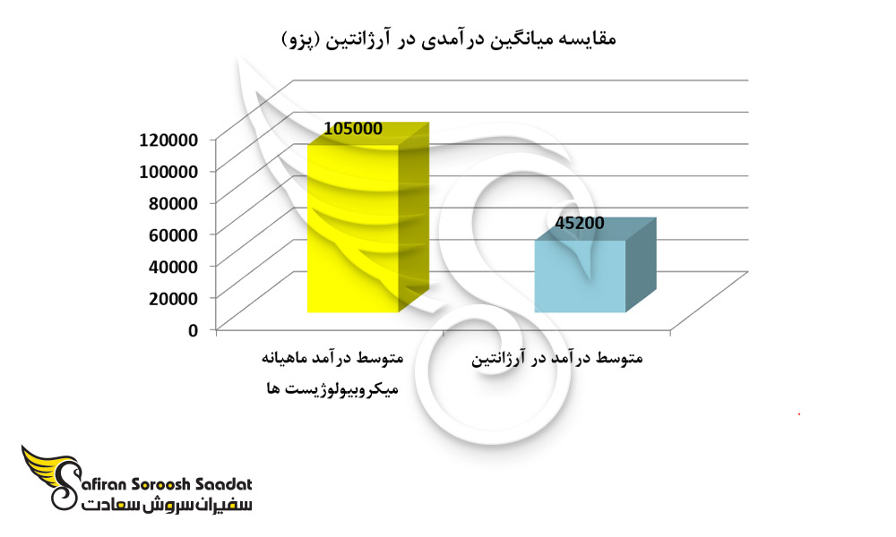 متوسط درآمد ماهیانه در کشور آرژانتین
