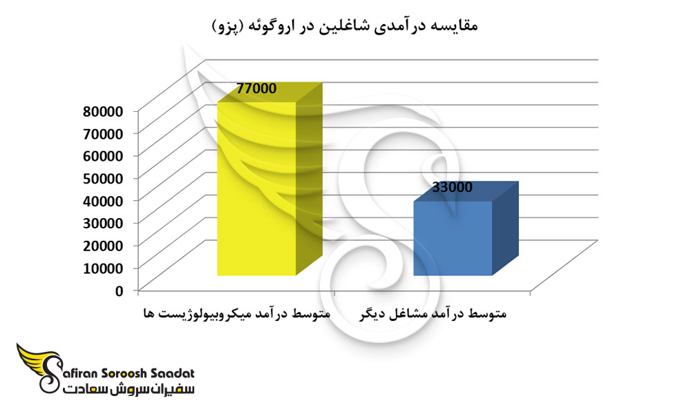 مقایسه درآمدی شاغلین در اروگوئه