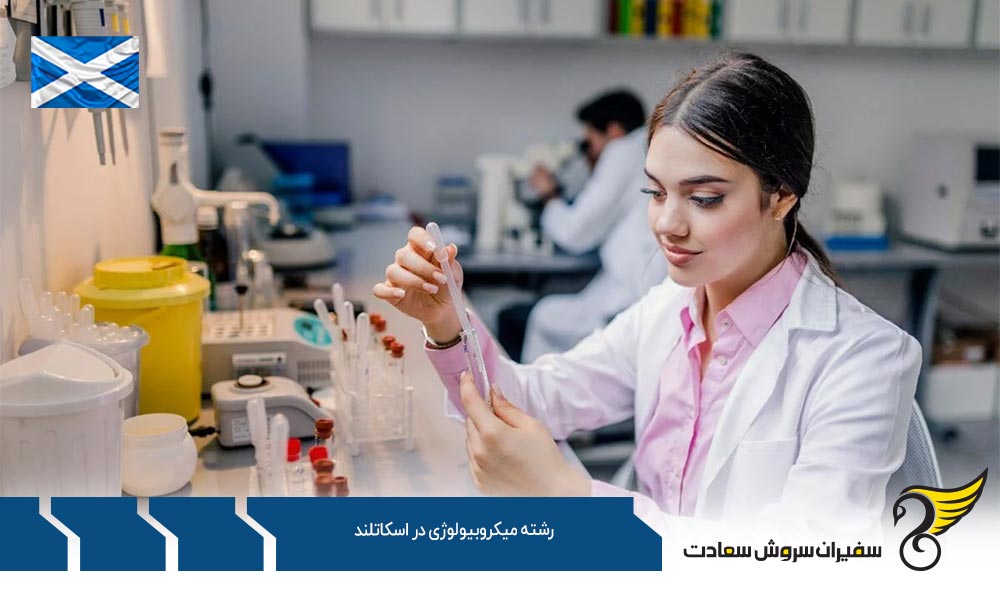 هزینه تحصیل رشته میکروبیولوژی در اسکاتلند
