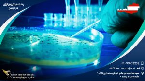 رشته میکروبیولوژی در اتریش