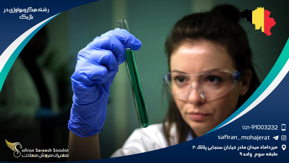 رشته میکروبیولوژی در بلژیک