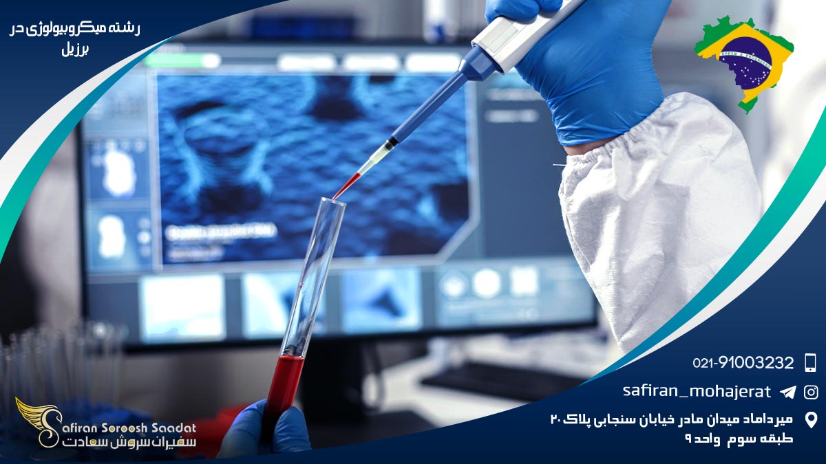 رشته میکروبیولوژی در برزیل