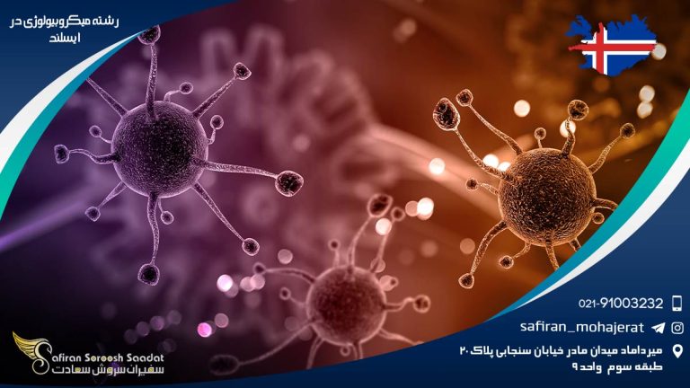 رشته میکروبیولوژی در ایسلند