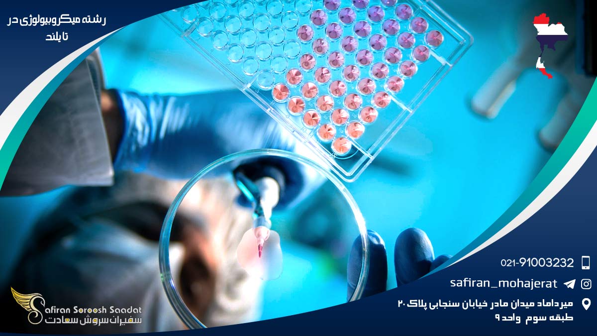 رشته میکروبیولوژی در تایلند