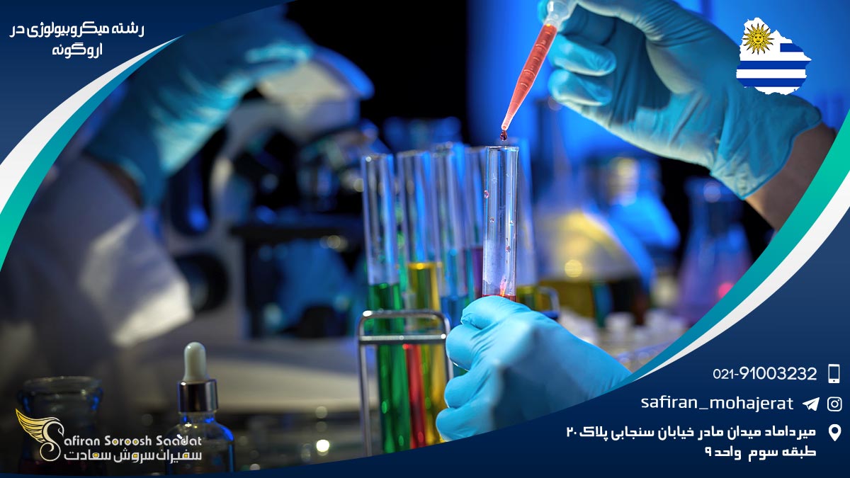 رشته میکروبیولوژی در اروگوئه