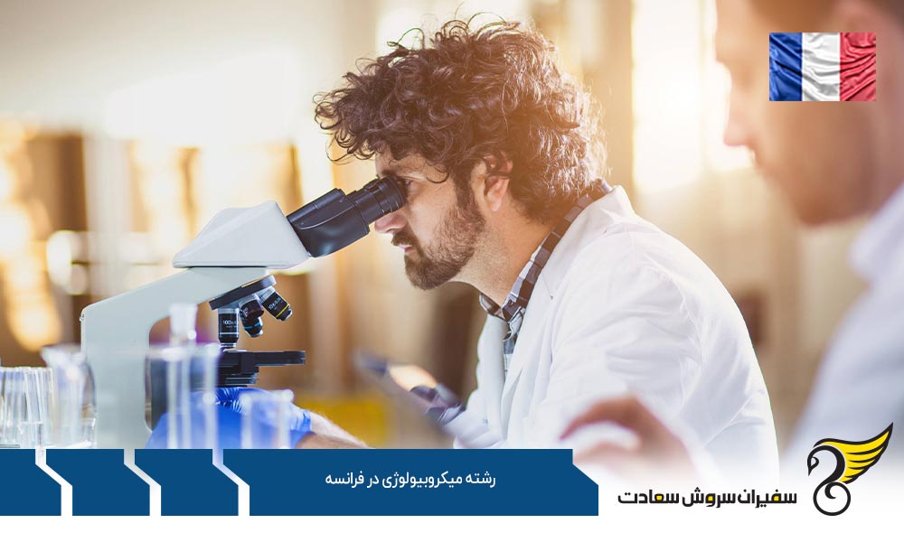 بهترین دانشگاه ها برای رشته میکروبیولوژی در فرانسه