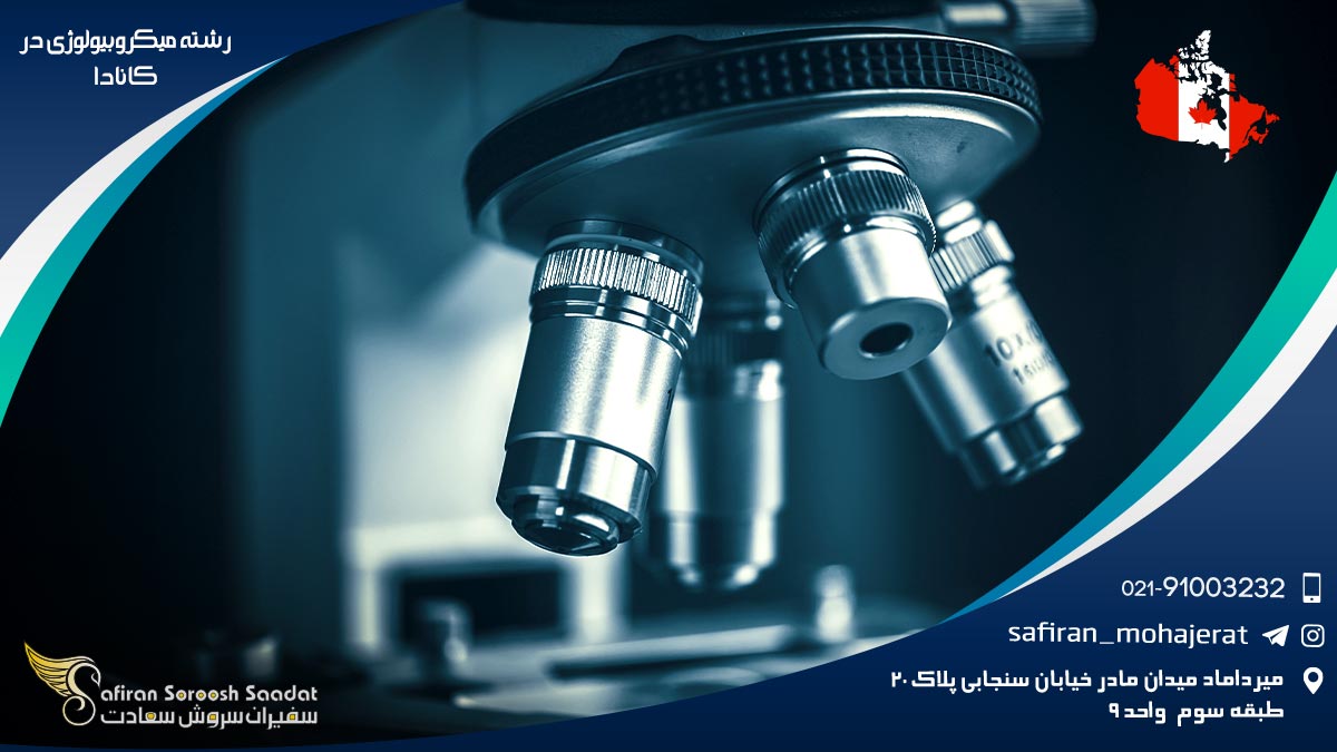رشته میکروبیولوژی در کانادا