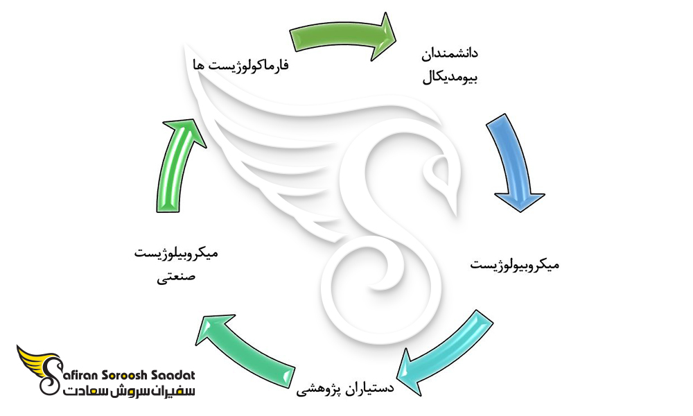 برخی از محبوب ترین مشاغل در رشته میکروبیولوژی در هند