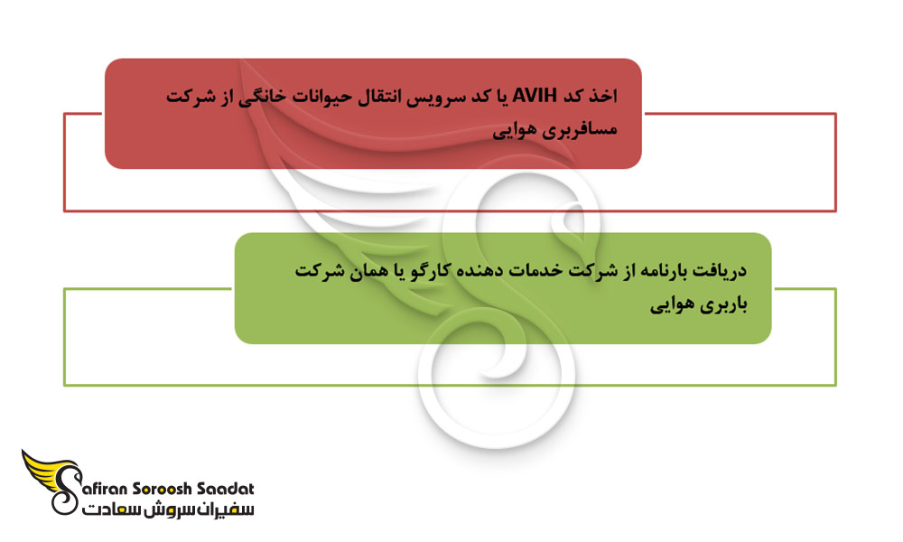 سرویس مخصوص انتقال حیوانات خانگی در پروسه مهاجرت