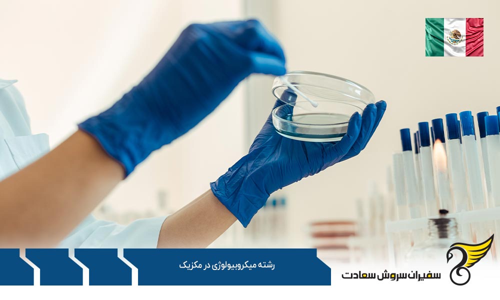 هزینه تحصیل رشته میکروبیولوژی در مکزیک