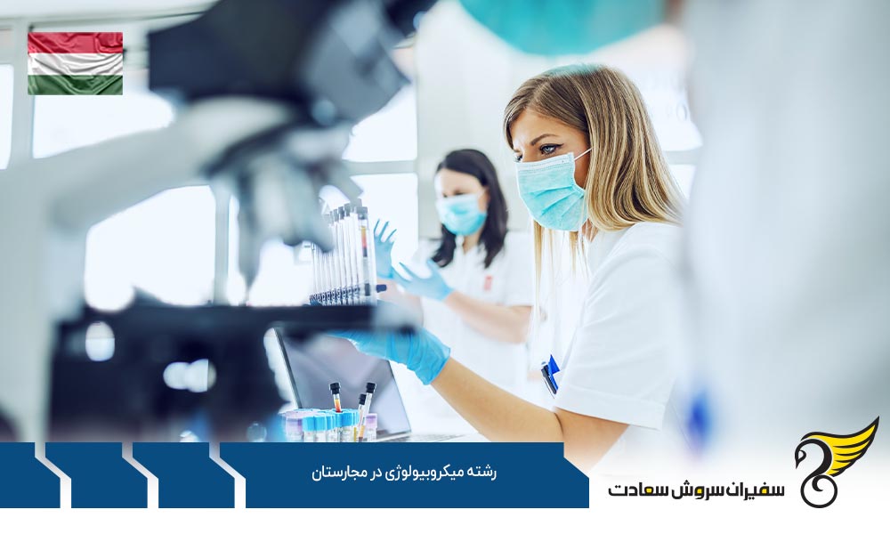 کار ضمن تحصیل رشته میکروبیولوژی در مجارستان